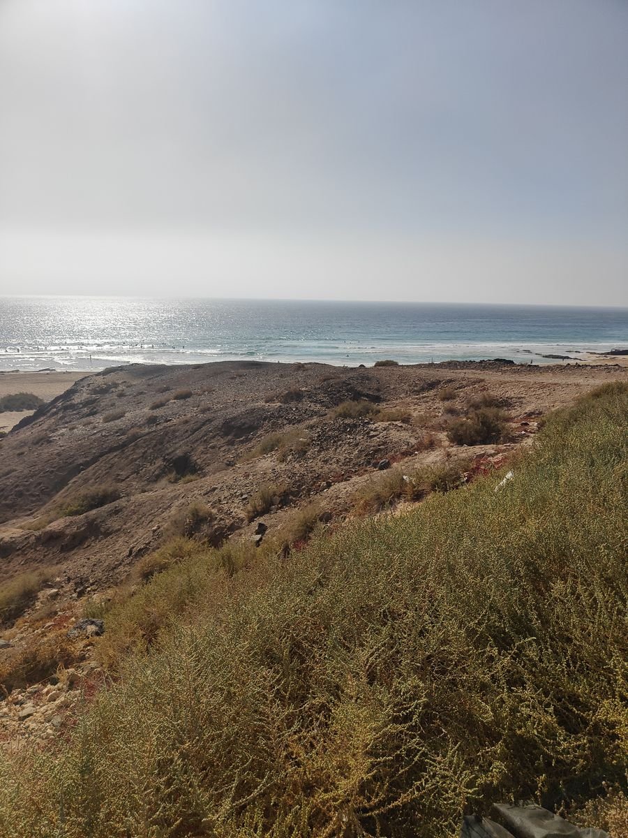 Ocean view over the dunes on the north coast of Fuerteventura